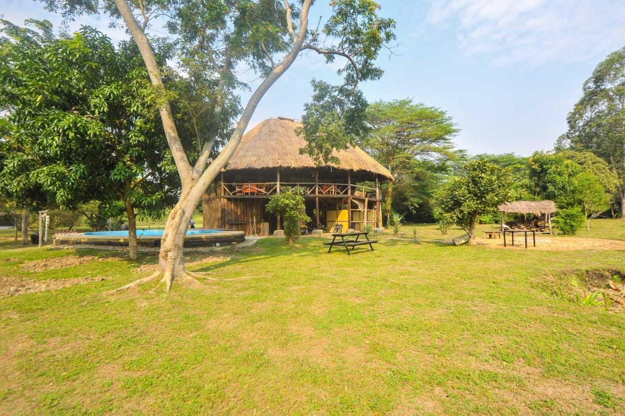 Bullbush River Camp Kihihi Luaran gambar