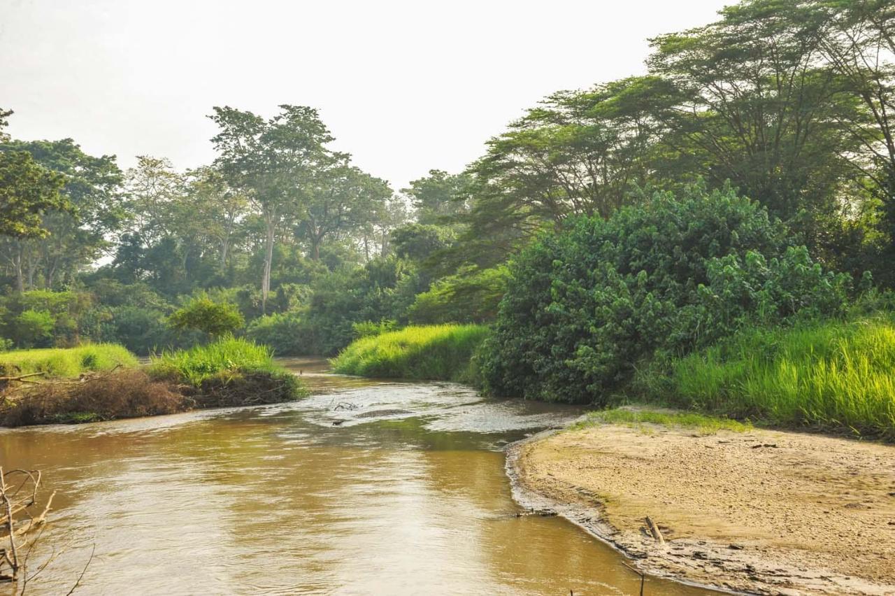 Bullbush River Camp Kihihi Luaran gambar