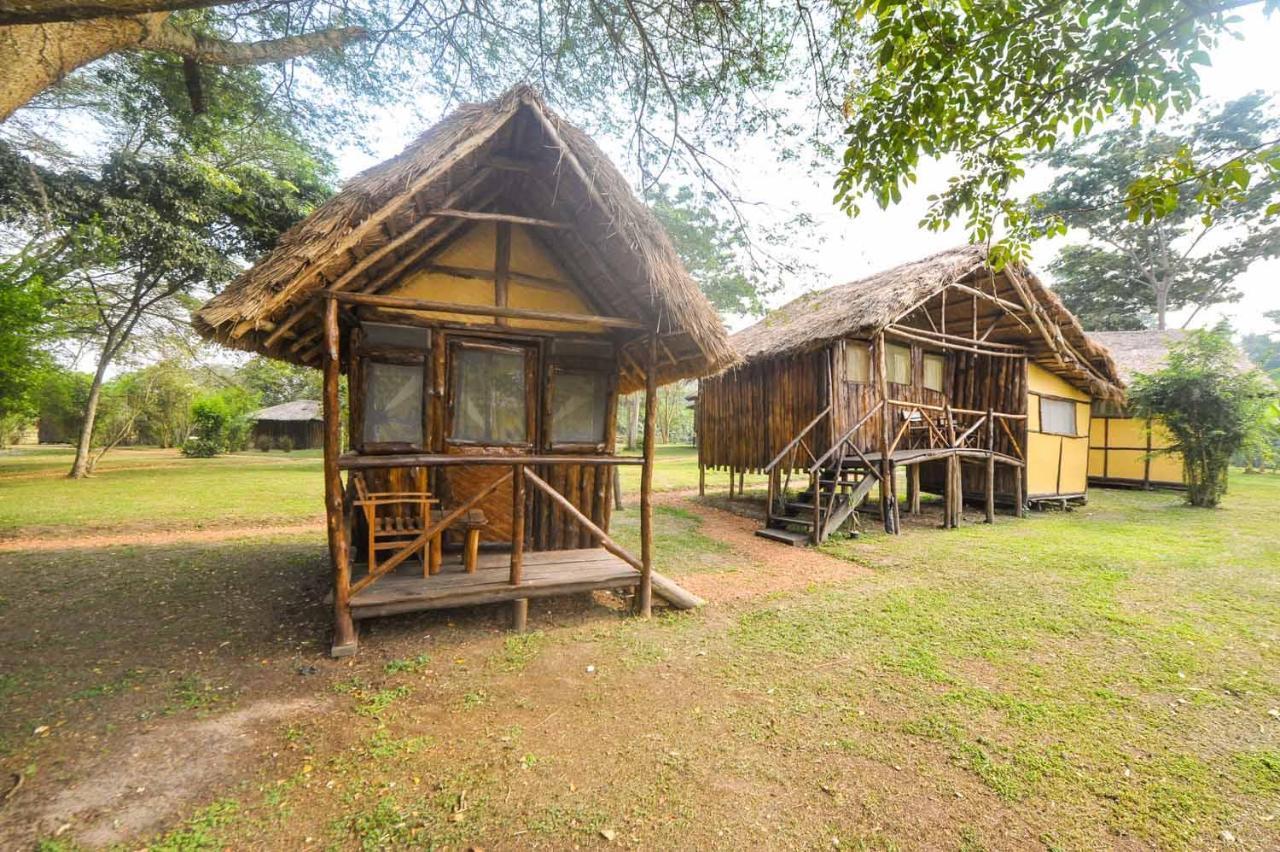 Bullbush River Camp Kihihi Luaran gambar